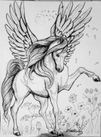 Dance of the Pegasus